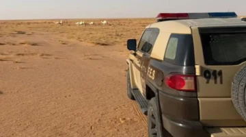 مخالفة رعي بمحمية الإمام عبدالعزيز الملكية تنتهي بضبط مواطن وهذه تفاصيل العقوبة